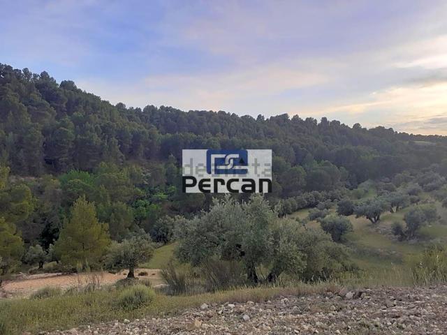 Terreno en venta en Comarca de Baza, Andalucía