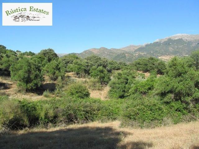 Terreno en venta en Serranía de Ronda, Andalucía