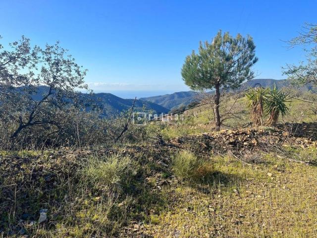 Terreno en venta en Serranía de Ronda, Andalucía