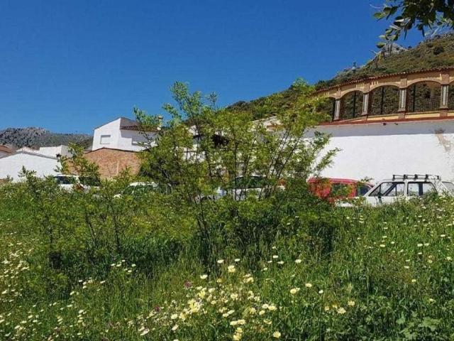 Terreno en venta en Serranía de Ronda, Andalucía