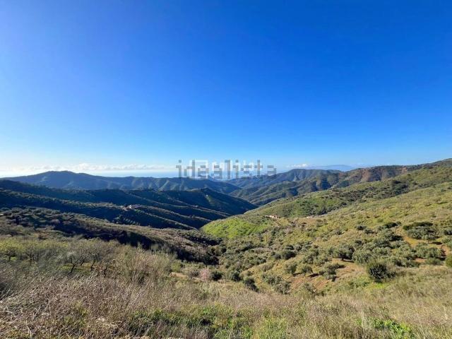 Terreno en venta en Serranía de Ronda, Andalucía