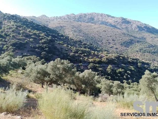 Terreno en venta en Serranía de Ronda, Andalucía