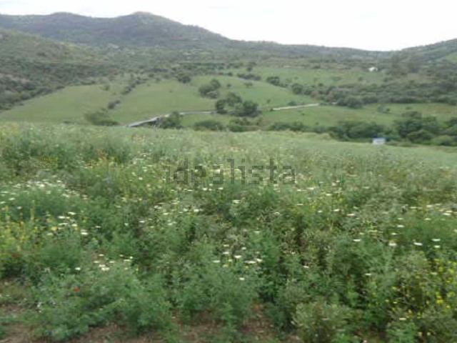 Terreno en venta en Serranía de Ronda, Andalucía