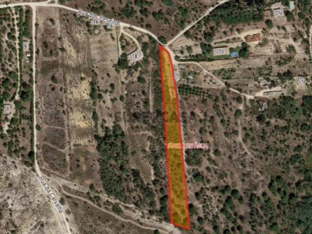 Terreno venda em Coruche, Santarém