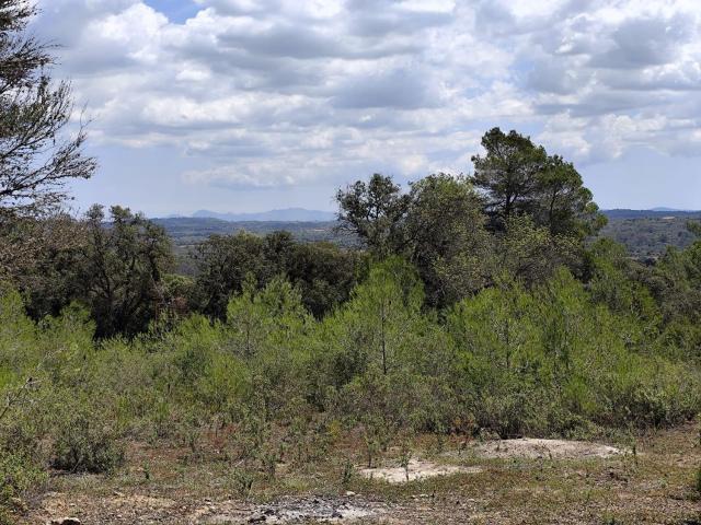 Terreno en venta en Pla de Mallorca, Baleares