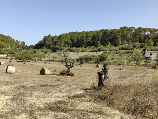 Terreno en venta en Pla de Mallorca, Baleares