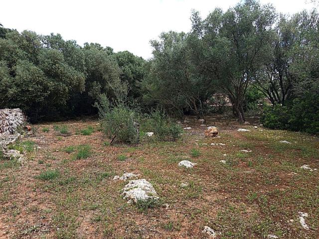 Terreno en venta en Pla de Mallorca, Baleares
