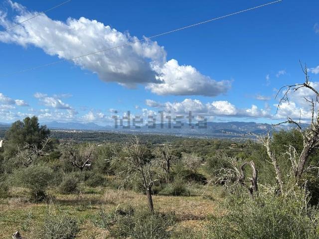 Terreno en venta en Pla de Mallorca, Baleares