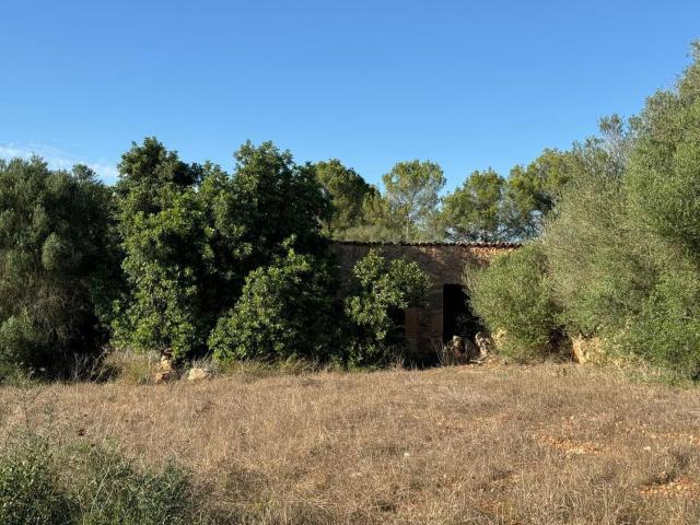 Terreno en venta en Pla de Mallorca, Baleares