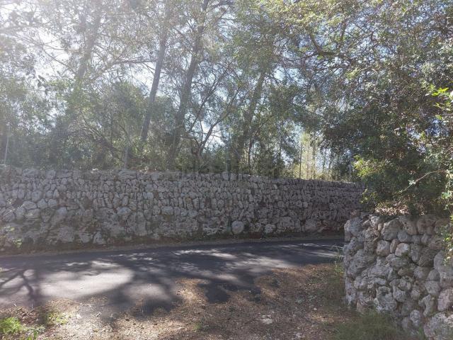 Terreno en venta en Pla de Mallorca, Baleares
