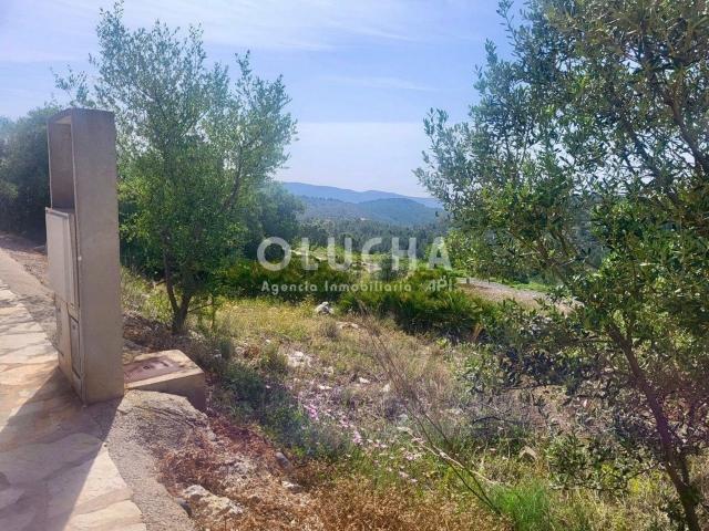 Terreno en venta en l'Alcalatén, Valencia