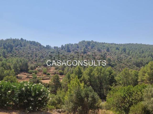Terreno en venta en l'Alcalatén, Valencia