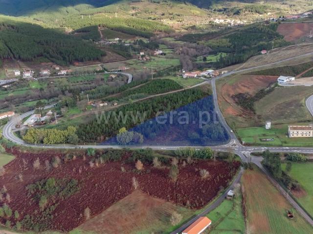 Terreno venda em Castelo Branco, Cortes Do Meio