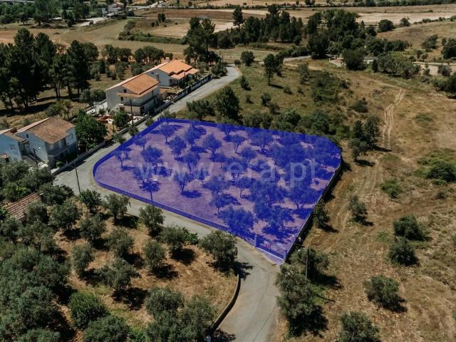 Terreno venda em Alcaria, Fundão