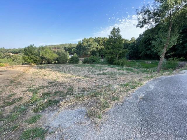 Terreno venda em Castelo Branco