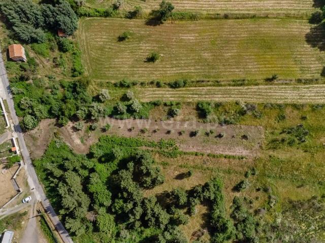 Terreno venda em Castelo Branco