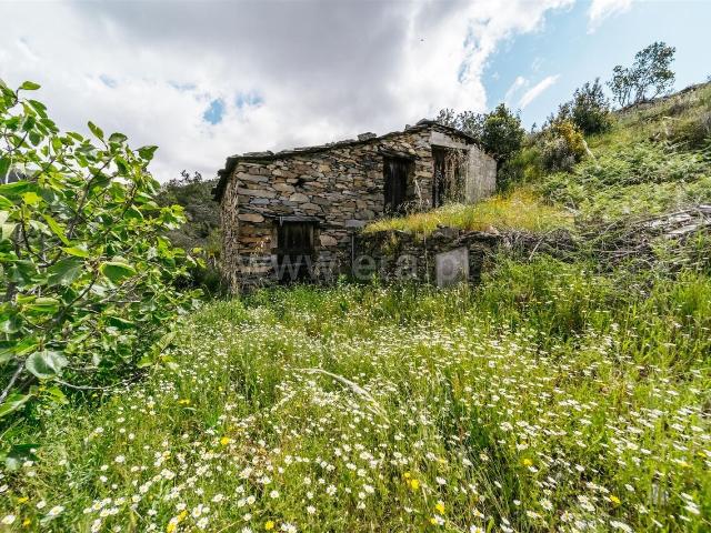 Terreno venda em Castelo Branco, Sobral De São Miguel