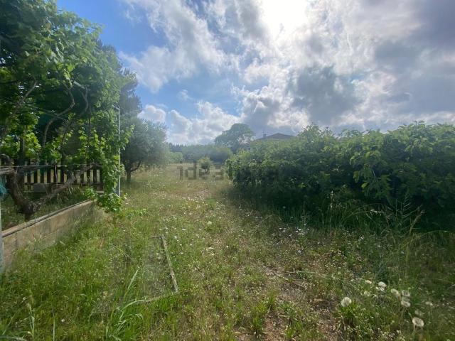 Terreno en venta en el Racó del Cèsar, Tarragonès