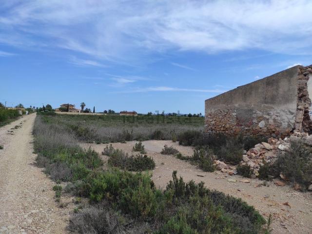 Terreno en venta en el Baix Vinalopó, Valencia