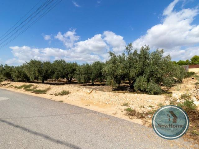 Terreno en venta en Crevillent, Alacant / Alicante