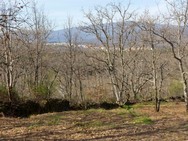 Terreno en venta en Cuacos De Yuste, Extremadura