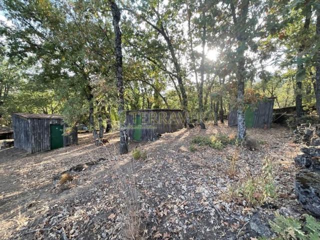 Terreno en venta en Cuacos De Yuste, Extremadura