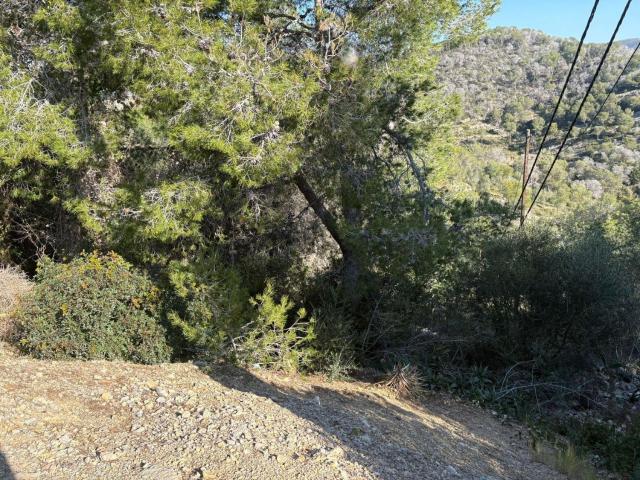 Terreno en venta en el Mas Trader, Garraf
