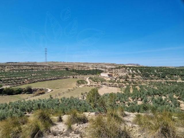 Terreno en venta en Cuevas del Campo, Granada