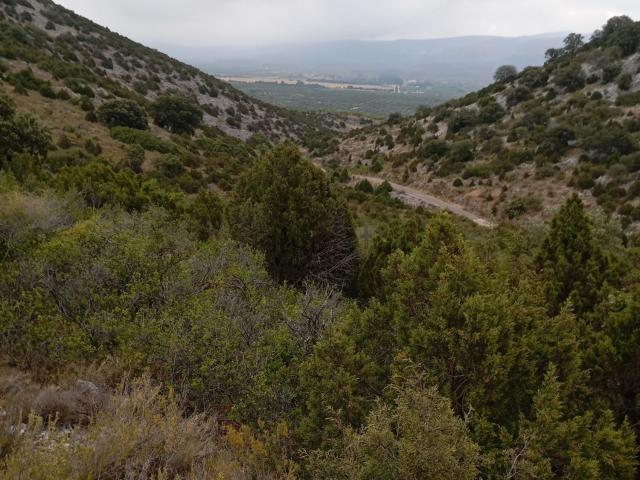 Terreno en venta en l'Alt Maestrat, Valencia