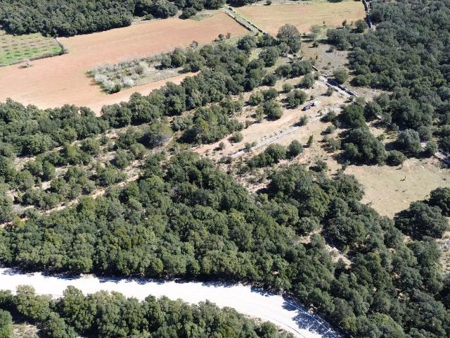 Terreno en venta en l'Alt Maestrat, Valencia