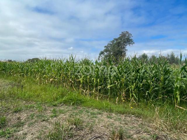 Terreno venda em Ovar, Aveiro