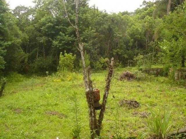 Terreno venda em Ibiúna