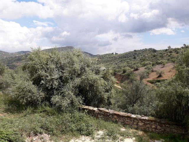 Terreno en venta en La Axarquía, Andalucía