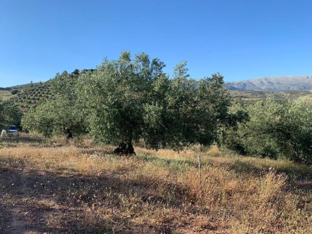 Terreno en venta en La Axarquía, Andalucía