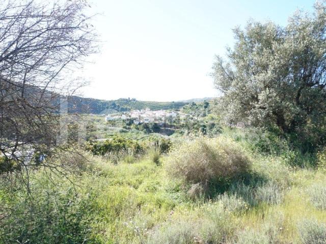 Terreno en venta en La Axarquía, Andalucía