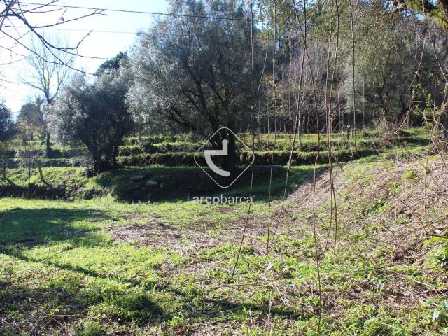 Terreno venda em Nogueira de Baixo, Viseu