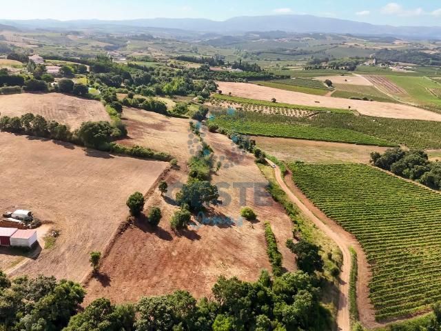 Terreno venda em Rossio do Carvalhal, Bombarral
