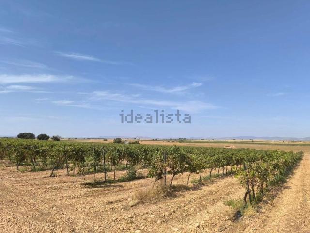Terreno en venta en Daimiel, Castilla-La Mancha