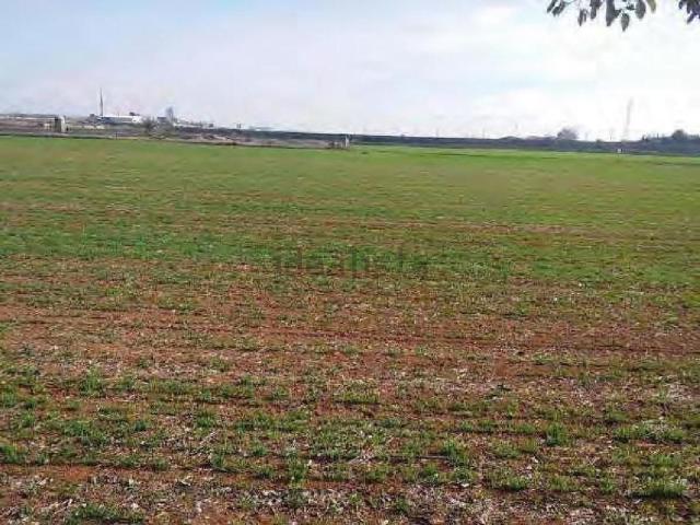 Terreno en venta en Daimiel, Castilla-La Mancha
