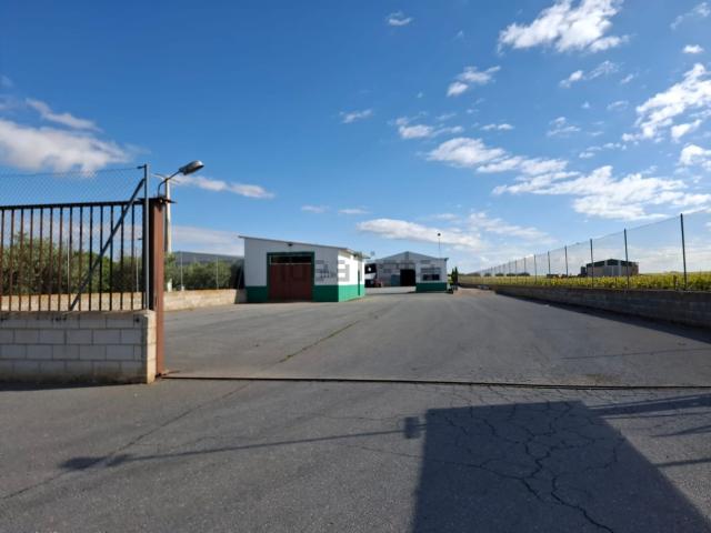 Terreno en venta en Daimiel, Castilla-La Mancha