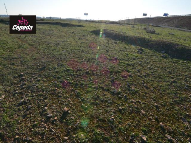 Terreno en venta en Daimiel, Castilla-La Mancha