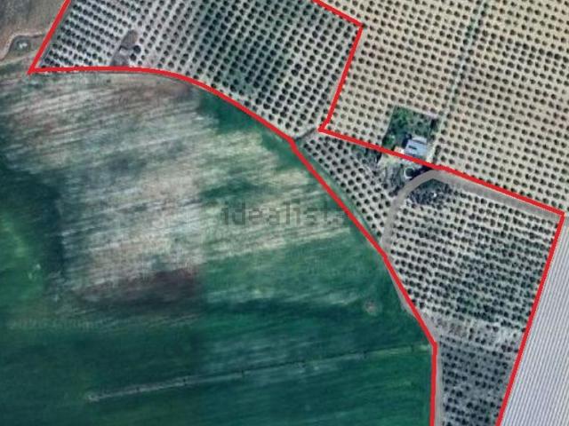 Terreno en venta en Daimiel, Castilla-La Mancha