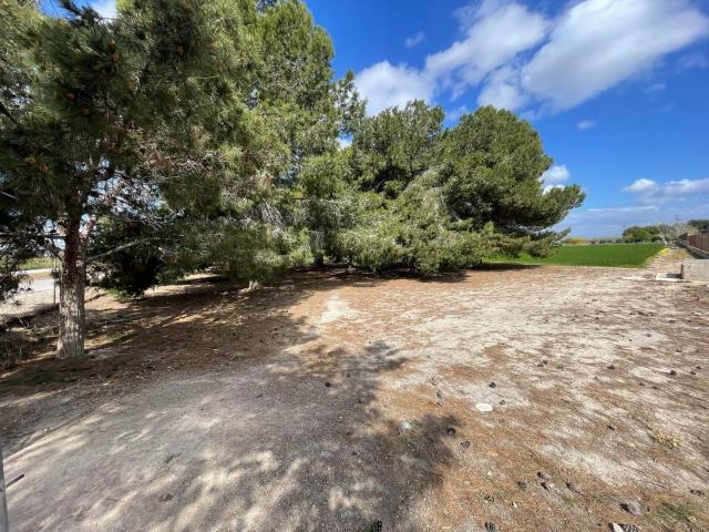Terreno en venta en el Baix Segura / La Vega Baja, Valencia