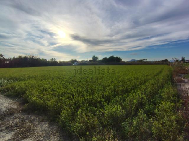 Terreno en venta en el Baix Segura / La Vega Baja, Valencia