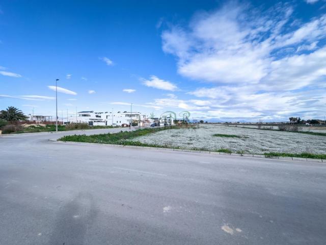 Terreno en venta en el Baix Segura / La Vega Baja, Valencia