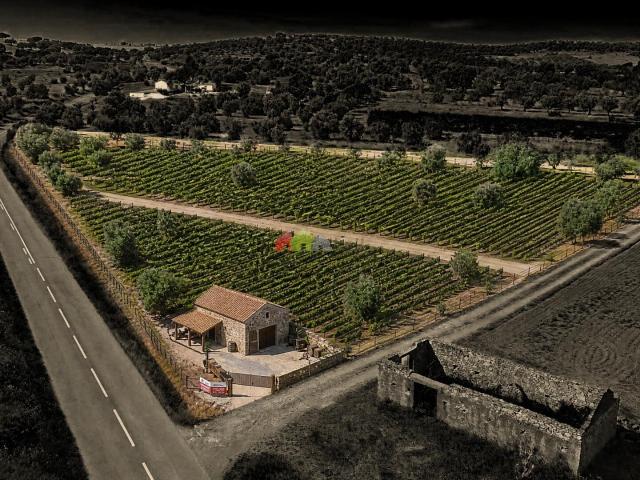 Terreno venda em Beja
