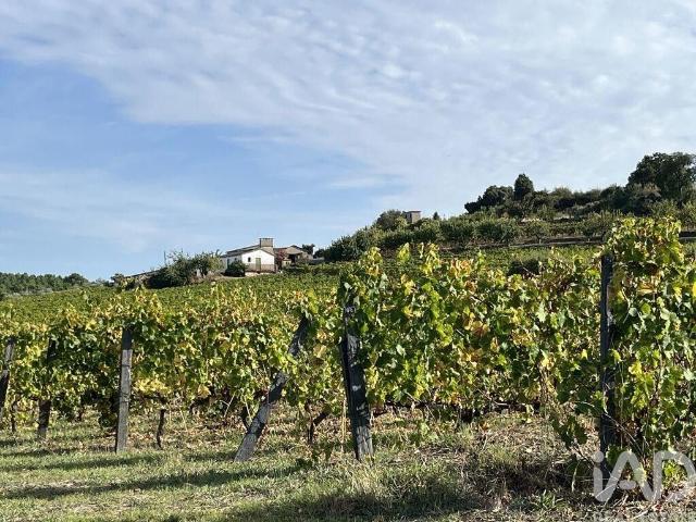 Terreno venda em Alijó, Vila Real