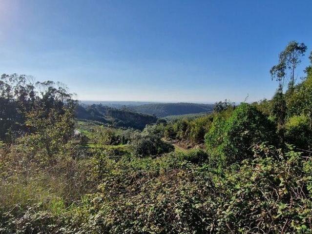 Terreno venda em Mafra, Lisboa