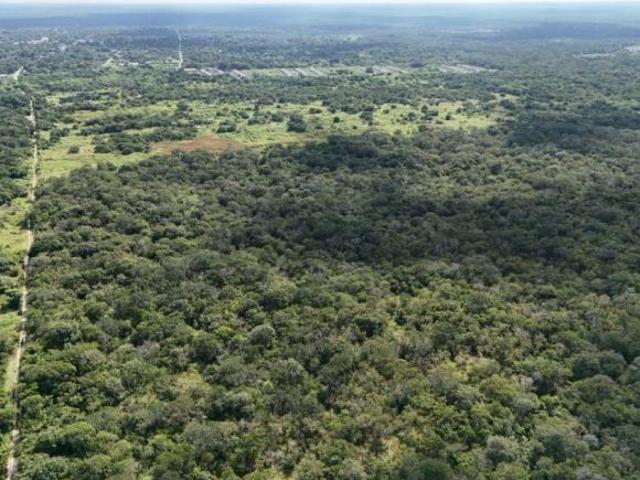 Terreno de 10000 m² en venta, Pueblo Tetiz