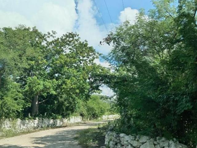 Terreno de 10000 m² en venta, Pueblo Tetiz